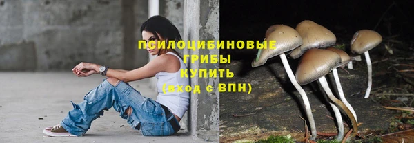 соль курить ск Алзамай