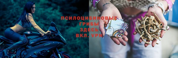 соль курить ск Алзамай
