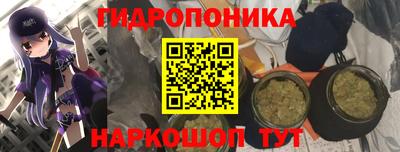 мдпв Кимры