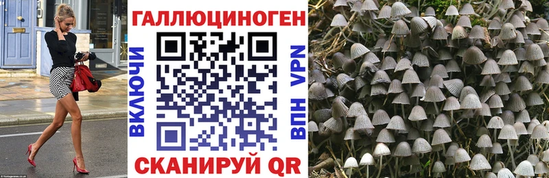 Галлюциногенные грибы мицелий купить сайты Лысьва