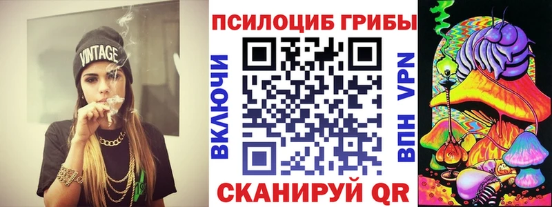 Псилоцибиновые грибы Psilocybe Лысьва